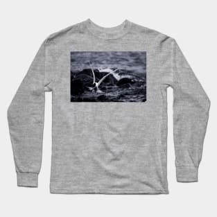 Crested Tern_VOA8098 Long Sleeve T-Shirt